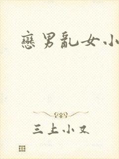 恋男乱女小说