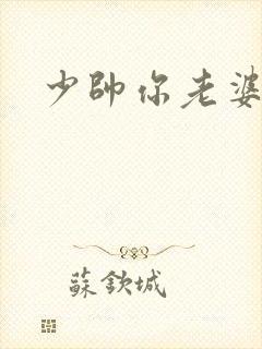 少帅你老婆