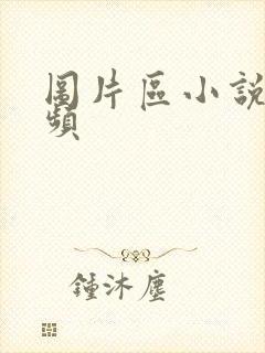 图片区小说区视频