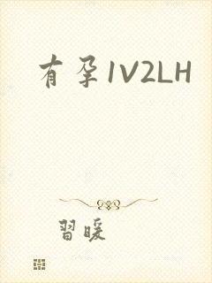 有孕1V2LH
