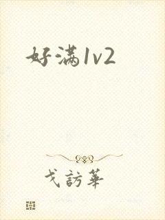 好满1v2