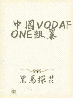 中国VODAFONE粗暴