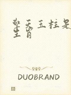 擎天玉柱是什么生肖