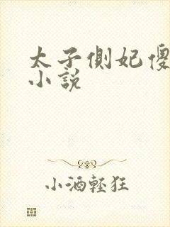 太子侧妃傻乎乎小说