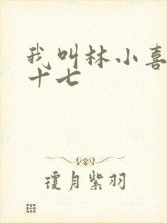 我叫林小喜今年十七