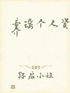 童瑶个人资料简介