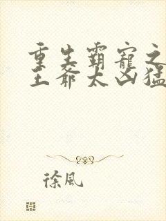 重生霸宠之摄政王爷太凶猛