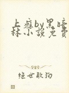 上瘾by黑暗森林小说免费