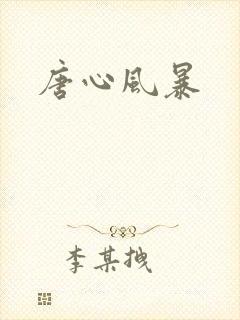 唐心风暴