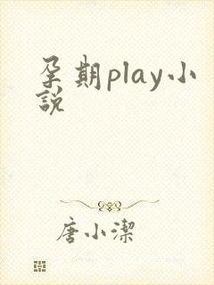 孕期play小说