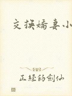 交换娇妻小说