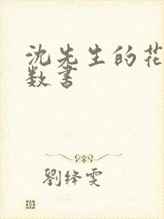 沈先生的花式调数书