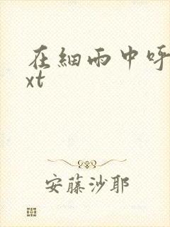 在细雨中呼喊txt