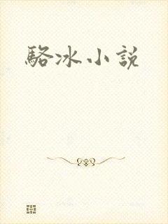 骆冰小说