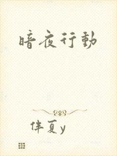 暗夜行动
