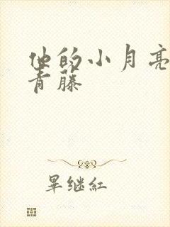 他的小月亮by青藤