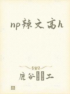 np辣文高h