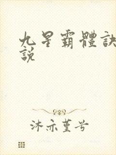 九星霸体诀 小说