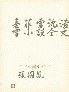 秦菲雪沈浩秦菲雪小说全文免费阅读求书