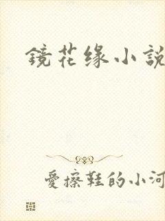 镜花缘小说