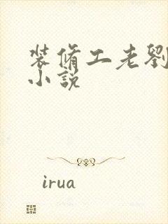 装修工老刘林雪小说