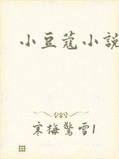 小豆蔻小说