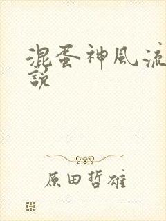 混蛋神风流史小说