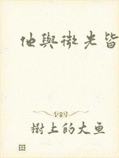 他与微光皆倾城