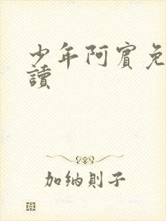 少年阿宾免费阅读