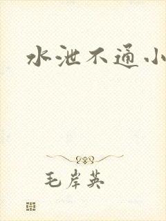 水泄不通小说