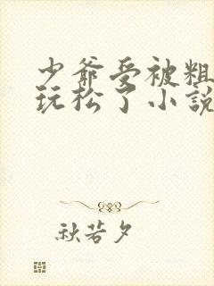 少爷受被粗汉H玩松了小说