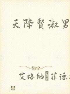 天降贤淑男小说