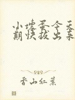 小坏蛋今天危险期快拔出来