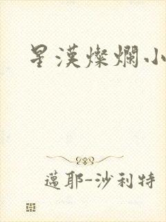 星汉灿烂小说