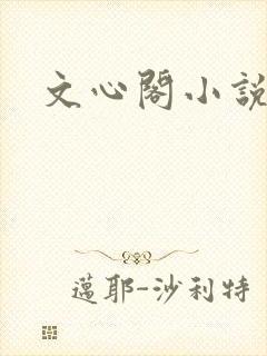 文心阁小说