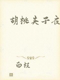 胡桃夹子夜未眠