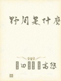 野周是什么意思