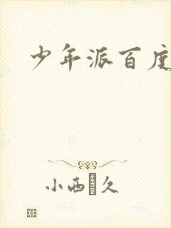 少年派百度百科