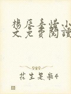 杨辰秦惜小说全文免费阅读最新