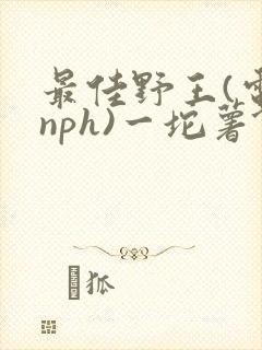 最佳野王(电竞nph)一坨薯饼