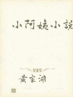 小阿姨小说