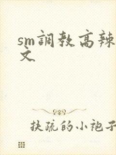 sm调教高辣h文