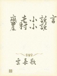 恋老小说言情网农村小说