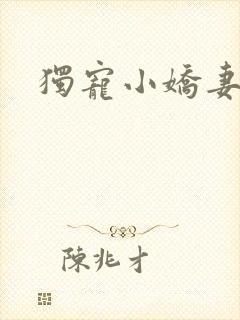 独宠小娇妻