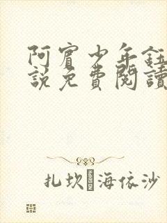 阿宾少年钰慧小说免费阅读笔趣阁