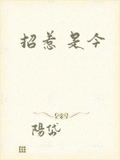 招惹 是今