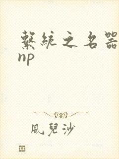 系统之名器攻略np