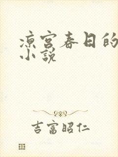 凉宫春日的忧郁小说
