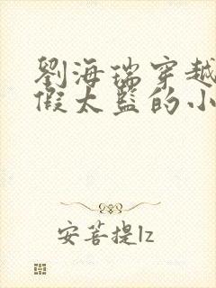 刘海瑞穿越后宫假太监的小说