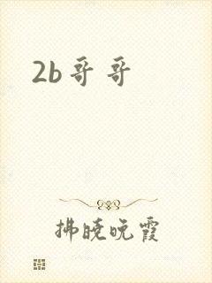2b哥哥